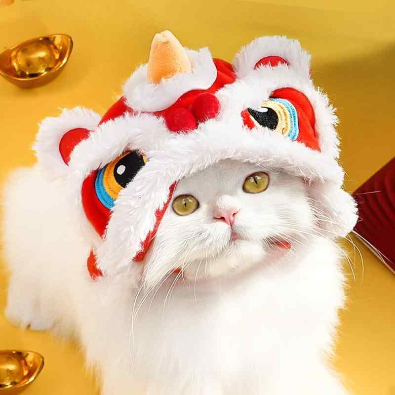 ڥåȥå ǭ ˹ Ĥ  襤 ٥      롼   