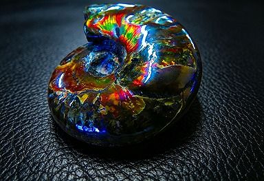 商品説明 ■商品名：数万個の中の一個★天然マダガスカル産 ★ 両面オパールアンモナイト 化石標本超巨大30g★52mm ■商品状態：新品 ■商品ランク：NEW/新品 ■仕様： 　最大約 : 52mm 軟体動物頭足類の化石動物。古生代のデボン紀に出現し，中生代の白亜紀まで繁栄した。現生のオウムガイに近縁で，平面的に巻いた螺旋（らせん）形の殻をもち，直径2センチメートルから2メートル 以上まで種類が多い。海生で，種としての存続期間が短く，分布が広いので，示準化石とされる。 約1億4500万年前から6600万年前の中生代白亜紀の間を生きたマダガスカル産アンモナイトはオパールの様な虹色の色彩を持つ保存状態の極めて良い化石として世界的に有名です。 化石になってからもなお美しい輝きを放つ絶景にも似たアンモナイトの奇跡には自然 の神秘を感じざるを得えません。 世界中にふたつとないひとつだけの一品をコレクションとして、またお子様の教材としてご鑑賞頂ければ幸いです。 ■商品番号：D837
