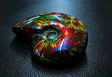 商品説明 ■商品名：数万個の中の一個★天然マダガスカル産 ★ 両面オパールアンモナイト 化石標本超巨大47g★62mm ■商品状態：新品 ■商品ランク：NEW/新品 ■仕様： 　最大約 : 62mm 軟体動物頭足類の化石動物。古生代のデボン紀に出現し，中生代の白亜紀まで繁栄した。現生のオウムガイに近縁で，平面的に巻いた螺旋（らせん）形の殻をもち，直径2センチメートルから2メートル 以上まで種類が多い。海生で，種としての存続期間が短く，分布が広いので，示準化石とされる。 約1億4500万年前から6600万年前の中生代白亜紀の間を生きたマダガスカル産アンモナイトはオパールの様な虹色の色彩を持つ保存状態の極めて良い化石として世界的に有名です。 化石になってからもなお美しい輝きを放つ絶景にも似たアンモナイトの奇跡には自然 の神秘を感じざるを得えません。 世界中にふたつとないひとつだけの一品をコレクションとして、またお子様の教材としてご鑑賞頂ければ幸いです。 ■商品番号：D798