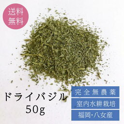 福岡八女産 ドライバジル 50g◆水耕栽培 料理 バジル basil スイートバジル 野菜 ハーブ 栽培 料理 ピッツァ フレッシュバジル ジェノベーゼ 食用 バジリコ メボウキ ハーブ ハーブティー スパイス 香辛料 イタリアン 送料無料