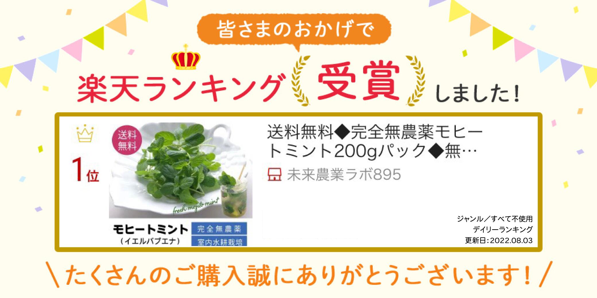【モヒートミント】200g◆完全無農薬国産モヒート専用モヒートイエルバブエナミント生ミント無農薬ミントハーブハーブティ食用プレゼント観葉植物栽培料理送料無料ミントティーミントティカクテルフレッシュハーブ水耕栽培