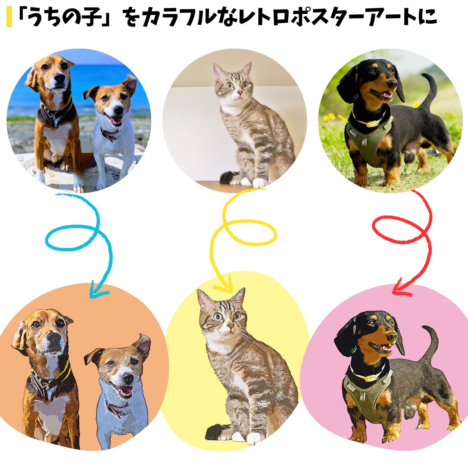 �ڥ��������ᥤ�ɡ� �����λҤ򥭥��Х���� �ڥå� ���Υ����른�å��ݥ������� �̿������� ���ե� �ץ쥼��� �� ǭ Ļ ̾���� art ������ ����