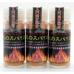 極み！激辛道 美味しくて激辛！調味料「死のスパイス 24g×3本セット」（辛さレベル1☆☆☆☆☆☆☆☆☆★）