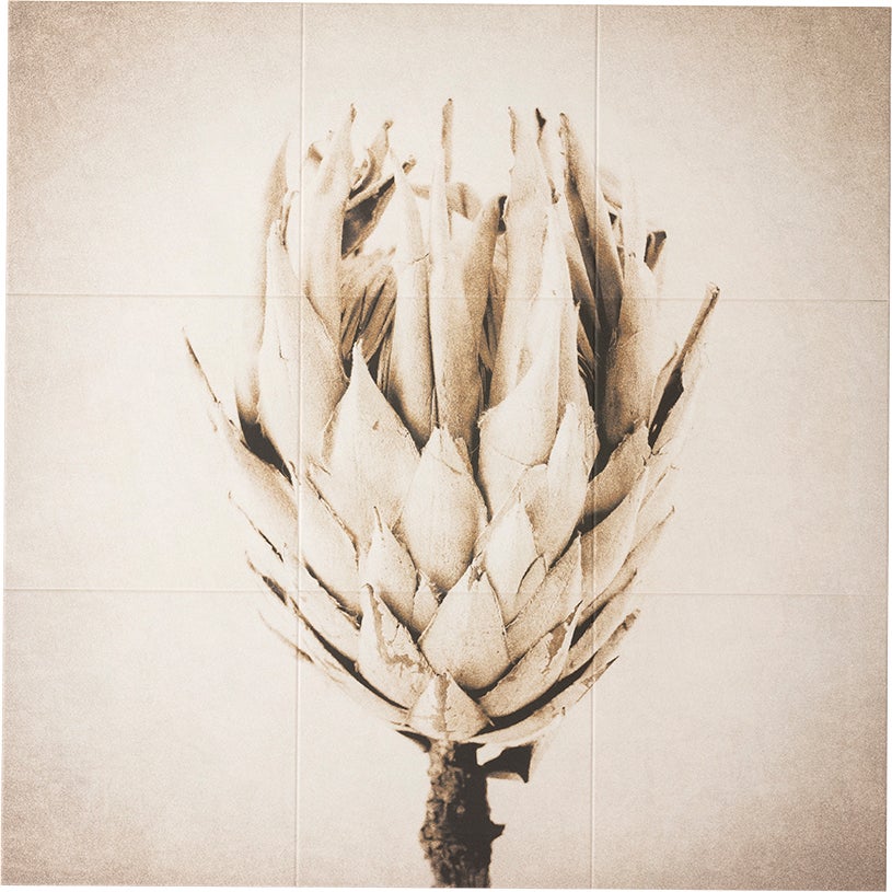 エコカラット セルフ Flower ECSF-1260S/117 ECSF-9090S/117 LIXIL リクシル INAX