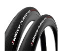 2本セット Vittoria (ビットリア) RUBINO PRO(ルビノ プロ) G2.0 クリンチャータイヤ 700c Clincher Tire (700×28c, フルブラック) 輸入品【新品】