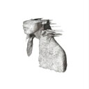 コールドプレイ Coldplay / A Rush of Blood to the Head 輸入盤 [CD]