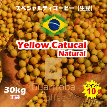 スペシャルティコーヒー 生豆 30kg正袋 ブラジル グアリロバ農園 イエローカトゥカイ ナチュラル ( Brazil Guariroba Yellow Catucai Natural 30kg正袋 ) 高品質コーヒー 生豆　高級珈琲　未焙煎　麻袋　オープン記念キャンペーン　送料無料 ポイント10倍