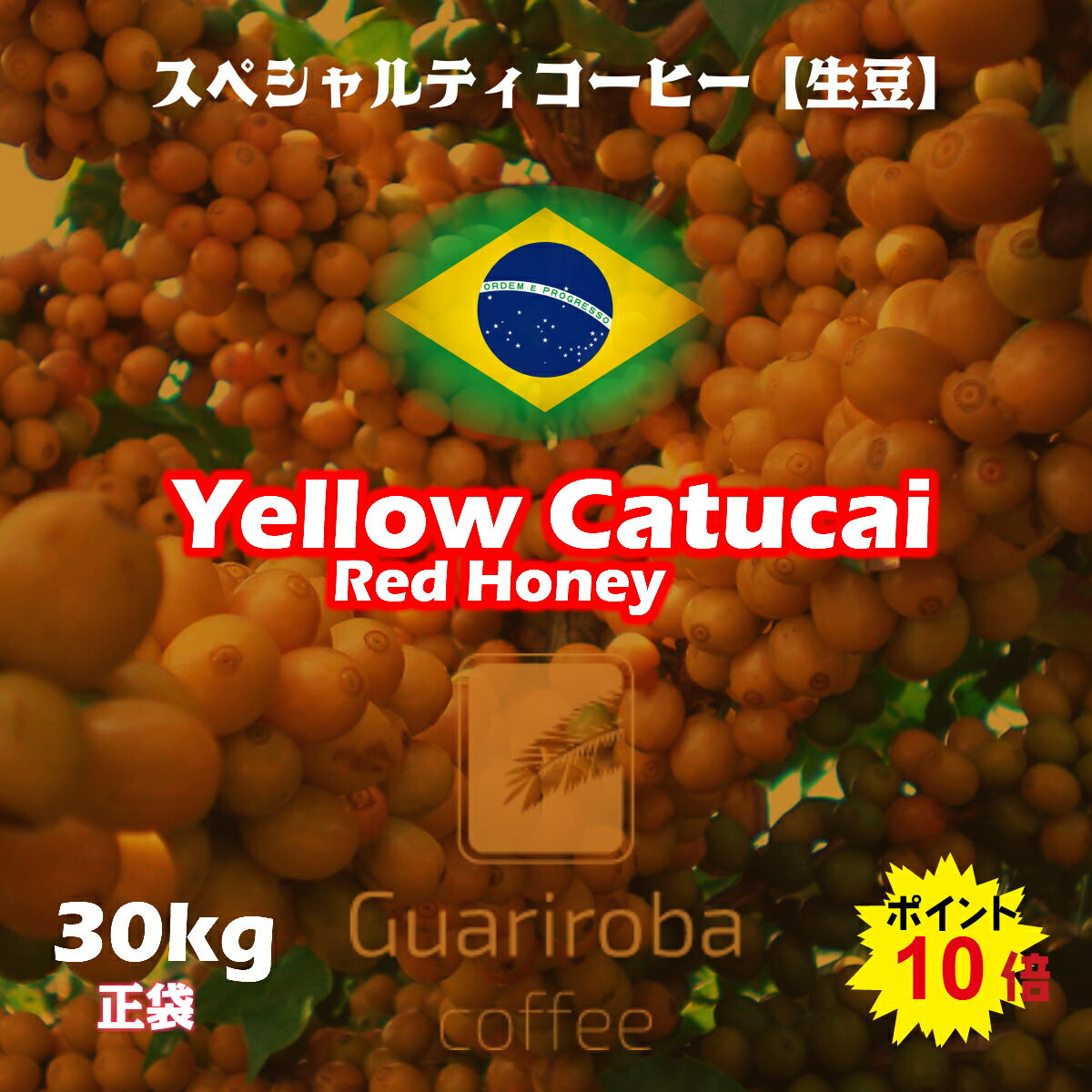 スペシャルティコーヒー 生豆 30kg正袋 ブラジル グアリロバ農園 イエローカトゥカイ　レッドハニー ( Brazil Guariroba Yellow Catucai Red Honey 30kg正袋 ) 高品質コーヒー 生豆　高級珈琲　未焙煎　麻袋　オープン記念キャンペーン　送料無料 ポイント10倍