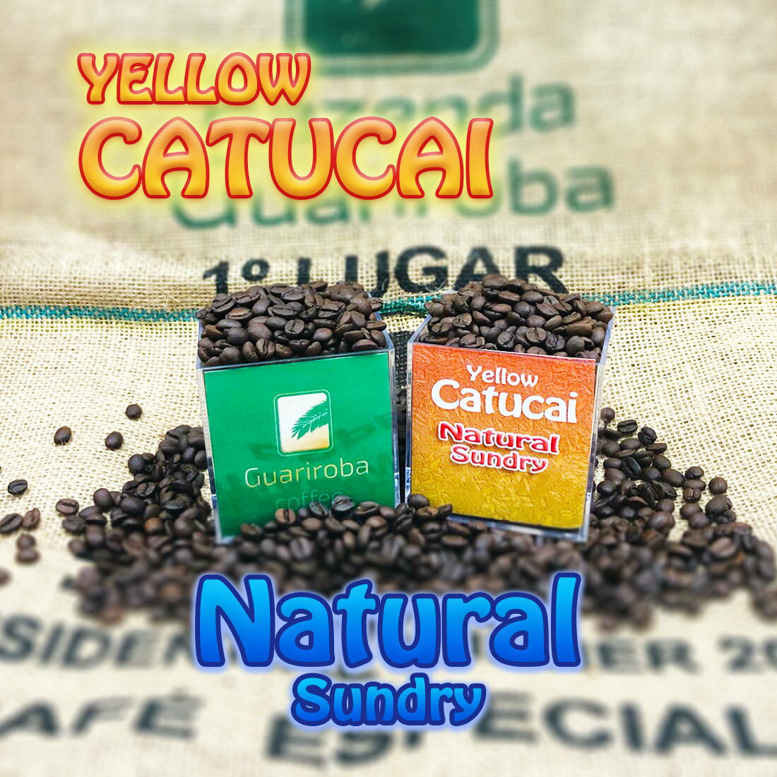 Yellow Catucai - Natural イエローカトゥカイ・ナチュラル! スイートシリーズ スペシャルティコーヒー豆 焙煎豆 200g 送料無料 ブラジルグアリロバ農園日本正規代理店のサムネイル