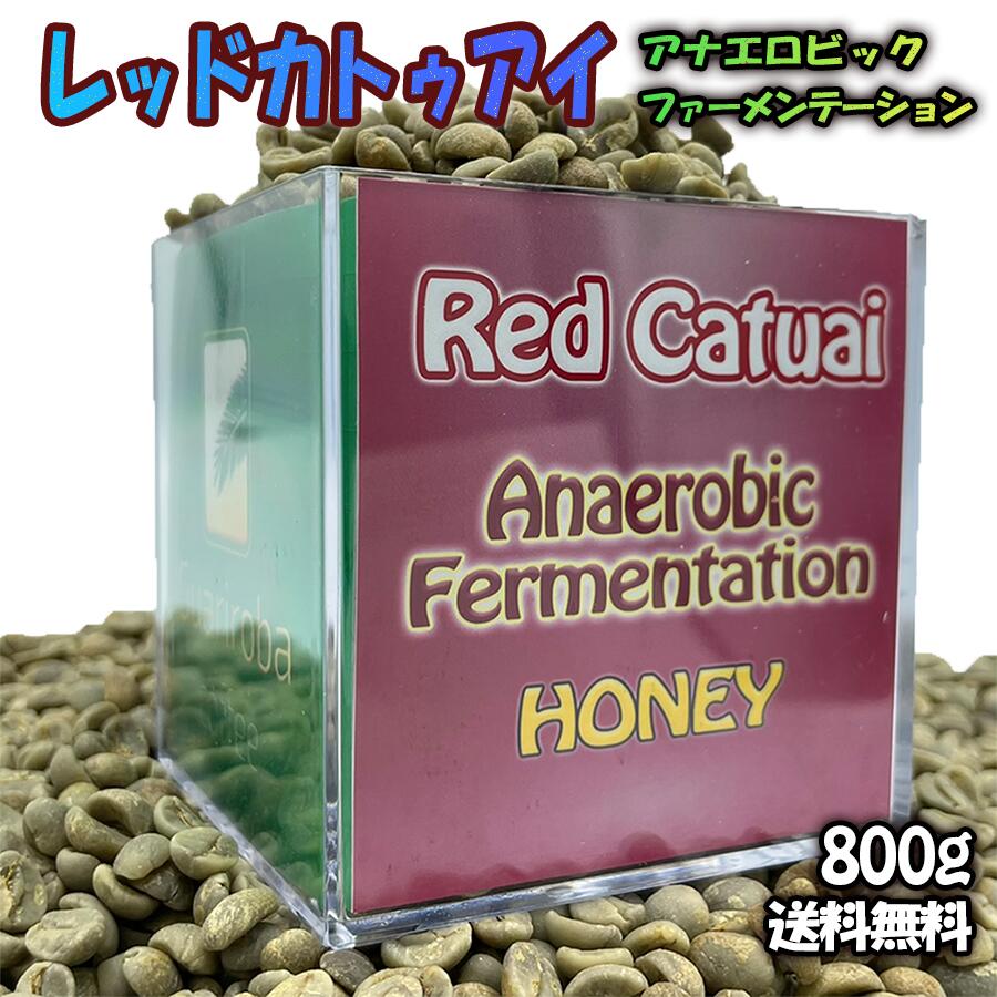 生豆 スペシャルティコーヒー 送料無料 RED CATUAI ANAEROBIC フルーティーシリーズ スペシャルティコーヒー 生 豆 800g 未焙煎 送料無料 珈琲生豆 ブラジルグアリロバ農園のサムネイル