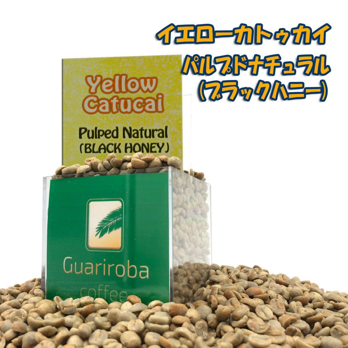 生豆 スペシャルティコーヒー 送料無料 YELLOW CATUCAI BLACK HONEY (PULPED NATURAL) ブラックハニープロセス パルプドナチュラル フルーティーシリーズ 生 豆 800g 未焙煎 ブラジルグアリロバ農園のサムネイル