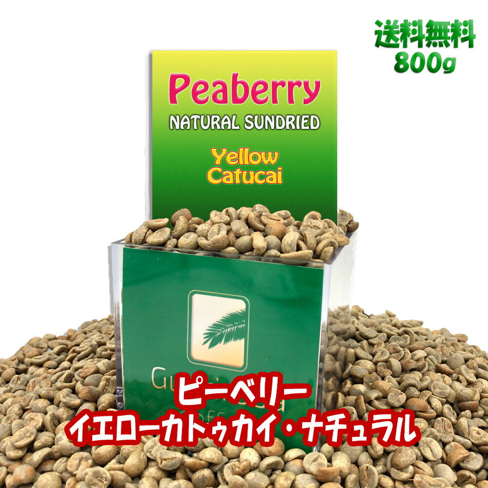 生豆 スペシャルティコーヒー Peaberry Yellow Catucai / Natural ピーベリー・イエローカトゥカイ・ナチュラル　スペシャルティコーヒー 生 豆 800g 未焙煎 珈琲生豆 ブラジルグアリロバ農園