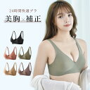 【 送料無料 】ナイトブラ 育乳 バストアップ ノンワイヤー 大きいサイズ かわいい スポーツ 夜用 美胸 寝る時 小胸 補正 らく マタニティ レディース 下着 楽 いくにゅう 脇肉革命 補正下着 補整下着