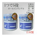 【2個セット】オールインワンゲル ナイアシンアミド 250g オールインワンジェル 日本製 【4573340594820 550】 保湿 潤い 乾燥肌 大容量 顔 全身 時短 スキンケア コラーゲン ヒアルロン酸 プラセンタ エキス 日本製