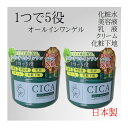 【2個セット】オールインワンゲル CICA 250g オールインワンジェル 日本製 【4573340594516 550】保湿 潤い 乾燥肌 大容量 顔 全身 時..