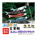 鯉のぼり 宝碧鯉 万能スタンドセット 2.0m 万能取付スタンド付き 宝碧鯉吹流セット 0189-03 団地鯉 撥水加工 金箔加工 家紋・名前 お庭用 日本製 ...