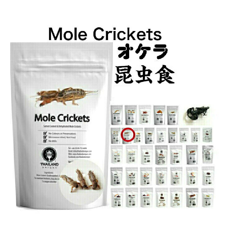 【期限2024年8月28日】昆虫食 オケラ 15g 食べる虫 虫 昆虫 むし バグズファーム Mole Crickets パーティーグッズ 非常食 送料無料