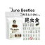 【期限5月20日】昆虫食 コガネムシ（大） 15g 食べる虫 虫 昆虫 むし バグズファーム Giant June Beetl..