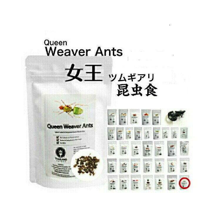 【2024年8月28日】昆虫食 女王ツムギアリ 10g 食べる虫 虫 昆虫 むし バグズファーム Queen Weaver Ants パーティーグッズ 非常食 送料無料