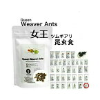 【2024年8月28日】昆虫食 女王ツムギアリ 10g 食べる虫 虫 昆虫 むし バグズファーム Queen Weaver Ants パーティーグッズ 非常食 送料無料