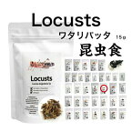 昆虫食 ワタリバッタ 15g 食べる虫 虫 昆虫 むし バグズファーム Locusts パーティーグッズ 非常食 送料無料