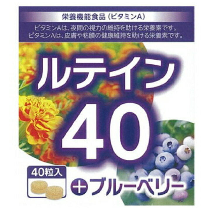 【栄養機能食品】日本ケミスト ルテイン40 ブルーベリー 視力維持 皮膚 粘膜 健康維持 40粒 ウコン アスタキサンチン ビタミンA 送料無料 1
