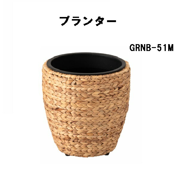 6/20P5ܡӥץ󥿡M ȭ տʪ ҥ䥷   ߷ 8 ë GRNB-51M ֥饦