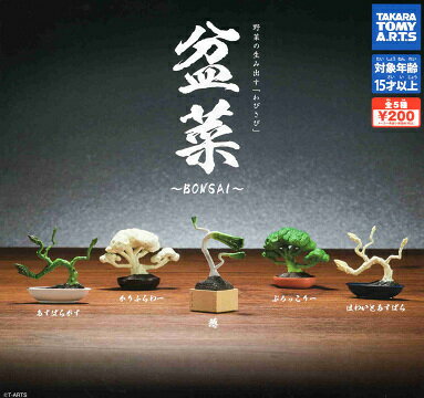 盆菜 BONSAI 全5種セット コンプ コンプリートセット