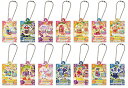 アイカツ! だれでもアイドル活動アクリルチャーム2 全14種セット コンプ コンプリートセット