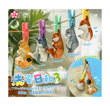 洗濯日和3 全5種セット コンプ コンプリートセット