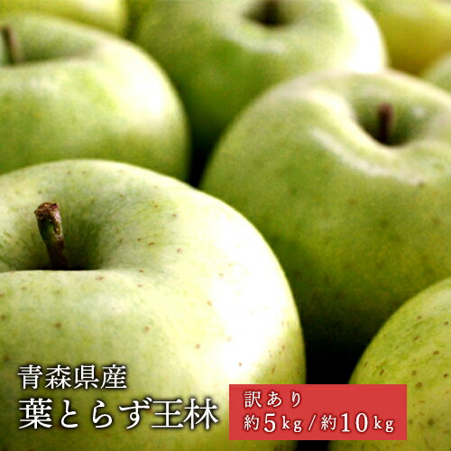 青森県産 葉とらず王林 ご家庭用 約5kg 約10kg 訳あり 王林 葉とらずりんご りんご リンゴ 林檎 王林 訳あり 人気の訳ありリンゴ 産地直送のサムネイル