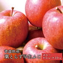 青森県産 葉とらずりんご 早生ふじ ご家庭用 約5kg 約10kg 人...(4)