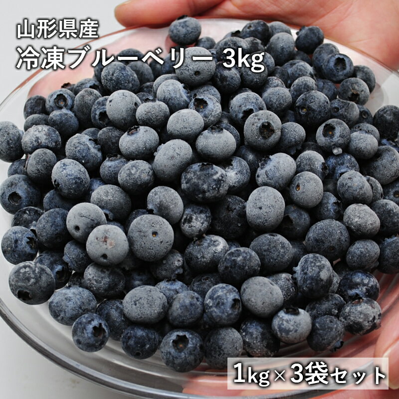 【ふるさと納税】【3回定期便】大粒 冷凍ブルーベリー 1500g（500g×3pc）【すみれファーム】[ZEP013]