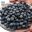 国産 冷凍 ブルーベリー 約1kg×2袋 合計 約2kg 国産 ブルーベリー フルーツ 果物 くだもの 急速冷凍 国産 山形県 山形