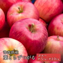 青森県産 葉とらずりんご つがる ご家庭用 約5kg 約10kg 人気...(4)