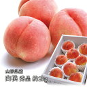送料無料 山形県産 秀品 白桃 約2kg(6-8玉前後) 桃 もも モモ ピーチ 同梱不可 配達日指定不可 産地直送