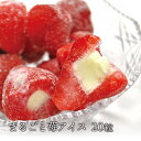 送料無料 まるごと 苺アイス 20粒 練乳いちごアイス アイス イチゴ その1