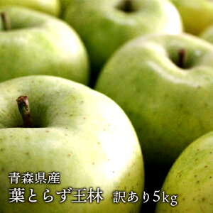 送料無料　青森県産　葉とらず王林 ご家庭用5kg　(約14〜18個)人気の訳ありリンゴ [※産地直送・同梱不可] りんご 林檎