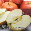 送料無料 山形県産 ふじ ご家庭用10kg 人気の訳あり リ...
