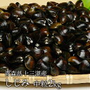 送料無料 青森県十三湖 活しじみ中粒 2kg(ヤマトシジミ)砂抜き未 国産
