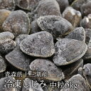 送料無料 青森県十三湖 冷凍しじみ中粒 3kg(ヤマトシジミ)砂抜き済み 国産