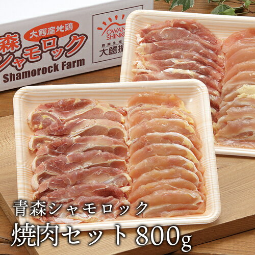 送料無料 シャモロック 青森 地鶏 焼肉セット 800g 産地直送で鮮度抜群 軍鶏 軍鶏鍋 軍鶏肉[ 産地直送のため同梱不可][ クール便]