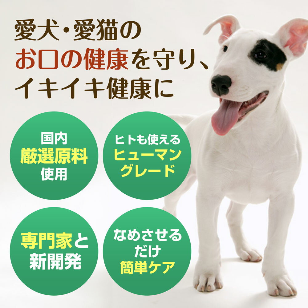 �ڥå��ѥ�����른���� �ڥå��Ѹ��Х��� ��������� ���� ��� ͽ�� ��