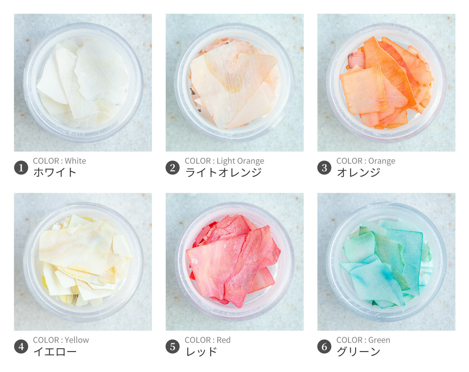 ����å��奷���� 12�����å� �ͥ���|������ͥ���|�ͥ��륢����|�ͥ�������|�ϥ�ɥᥤ��|�쥸��|����|�˥奢��|���åȥ�����|����������|�ͥ���ۥ���