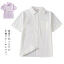 送料無料 スクールシャツ 丸襟 半袖 ブラウス 制服 透けない ホワイト 学生服 シャツ 高校生 中学生 女の子 半袖シャツ 白 ピンク 通学 丸衿