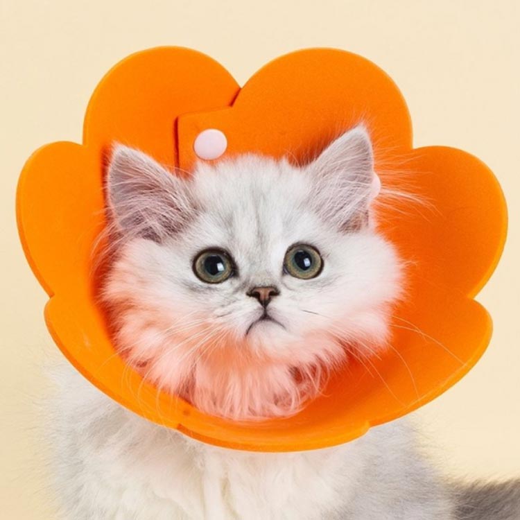 【送料無料】エリザベスカラー ペット 猫 犬 ソフトエリザベスカラー ひまわり飾り...