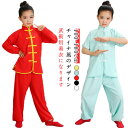 太極拳ウエア ダンス衣装 服 上下セット 長袖 女の子 太極拳 子供 キッズ 唐装 半袖 中華服 漢服 気功衣装 民国風 舞台演出服 カンフー 武術 男の子 上...