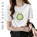 ロゴTシャツ カットソー Tシャツ 綿 大きいサイズ おしゃれ プリント レディース ロゴプリント ユニセックス ロゴプリント 服 半袖 半そで 丸首 クルーネ...