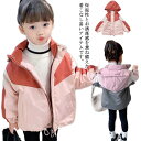 ブルゾン マウンテンパーカー キッズ 中綿ジャケット 配色 裏地付 女の子 ジャケット 春秋冬 服 保温 防寒 フード付き 軽量 暖かい アウター カジュアル ...