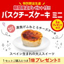 マラソン限定【プレゼント付】みれい菓 バスクチーズケーキ／札幌カタラーナ M プレーン 合計2個（計430g）4号(約12cm 2～4名様) ギフト対応不可品お取り寄せスイーツ 北海道産 バスチー Basque アイス プリン クレームブリュレ送料無料 2